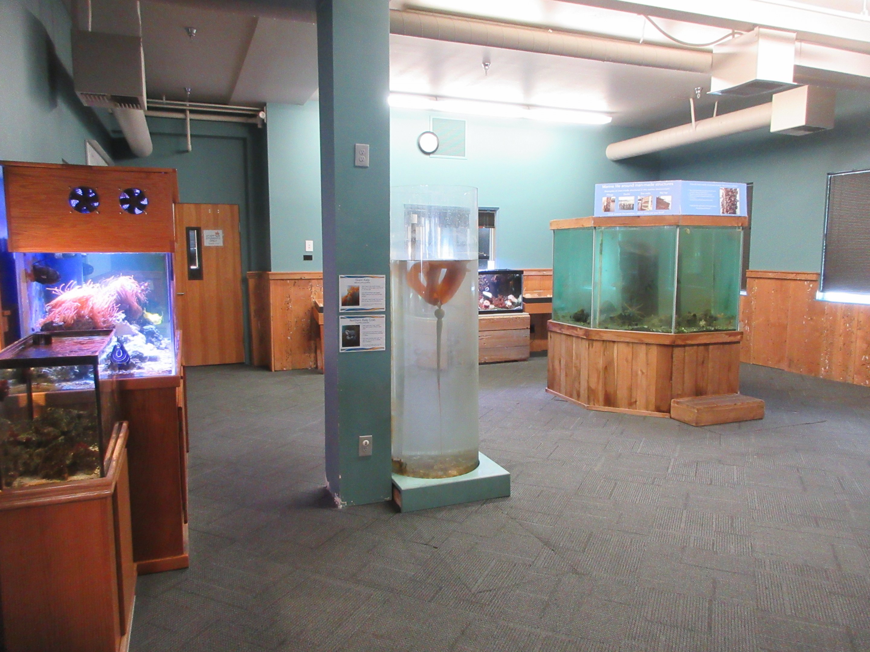 Various Tanks (only 11 in building)