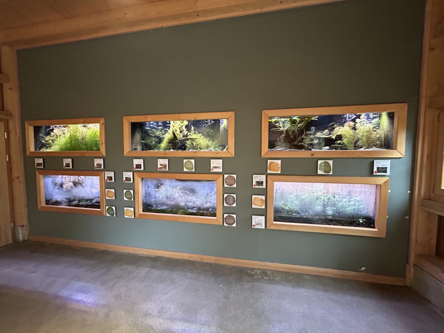 Various Terrariums & Aquariums