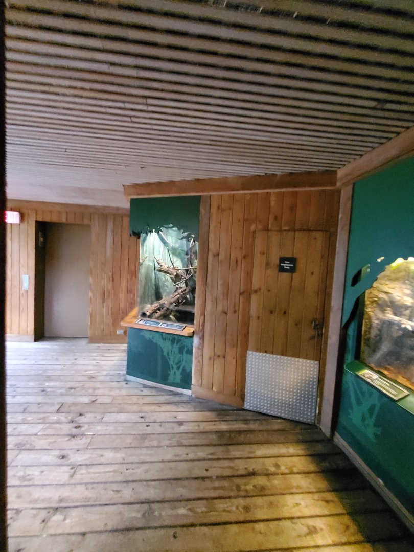 Various Terrariums - August 2021