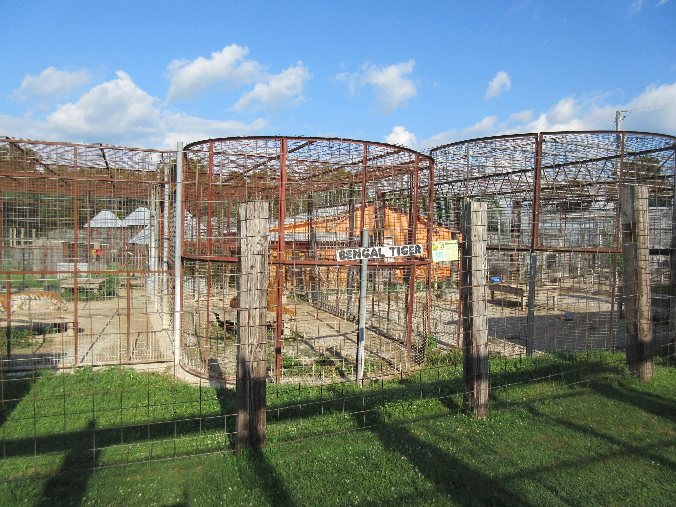 Various Tiger Exhibits (the zoo has 11 tigers!)