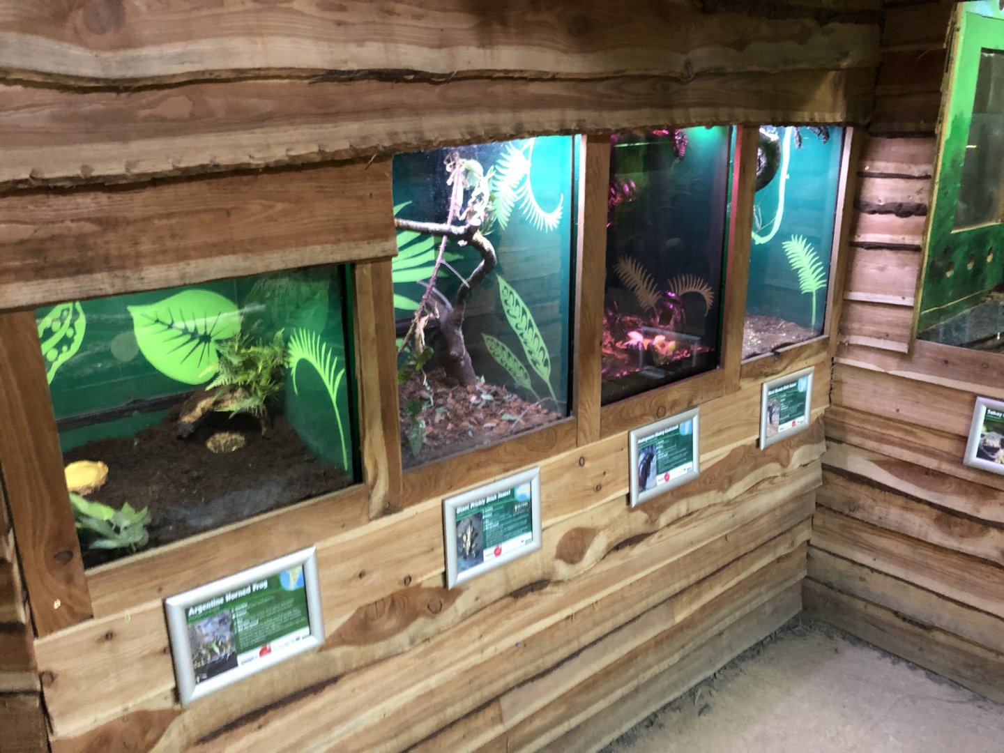 Various Vivariums at Northumberland Country Zoo (September 2021)
