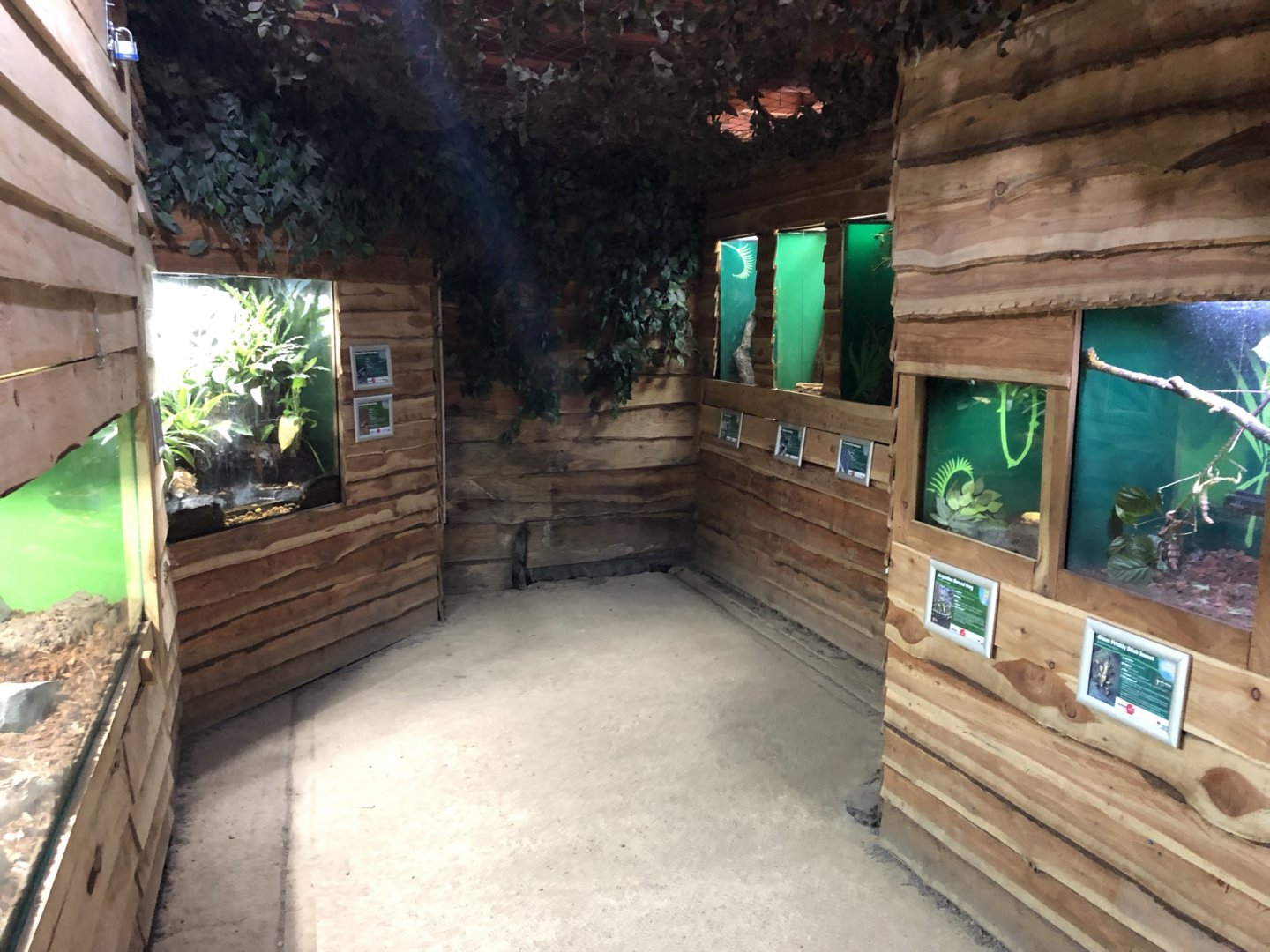 Various Vivariums at Northumberland Country Zoo (September 2021)