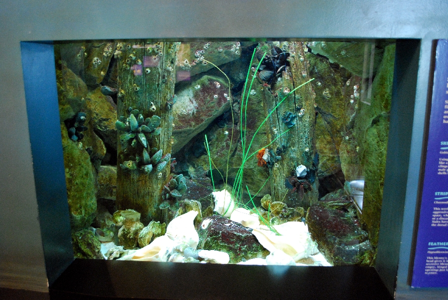 Varous pictures of VA