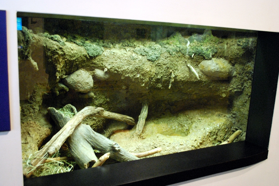 Varous pictures of VA