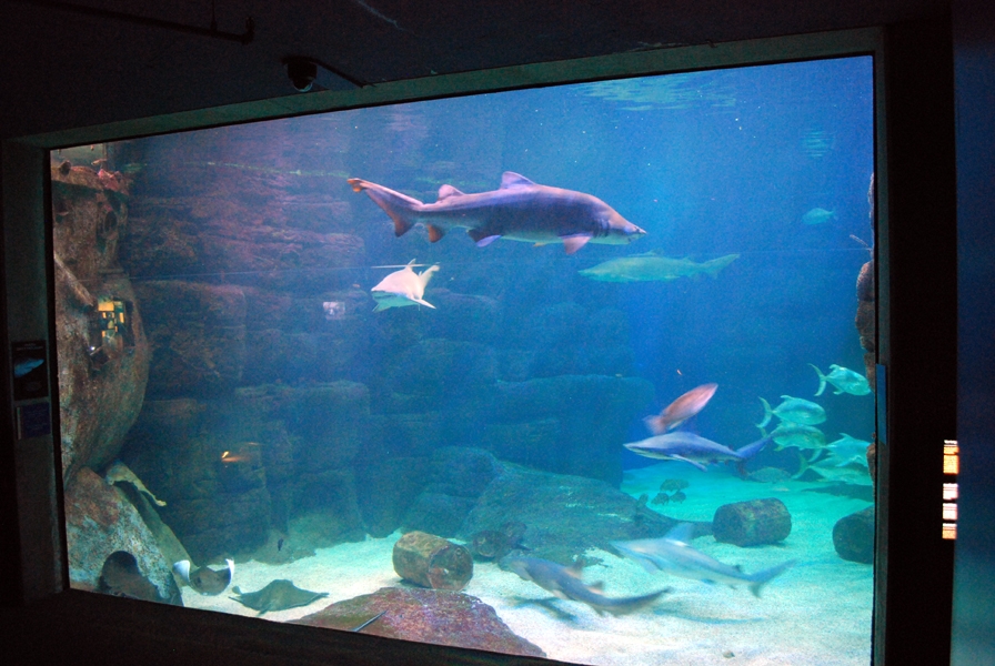 Varous pictures of VA