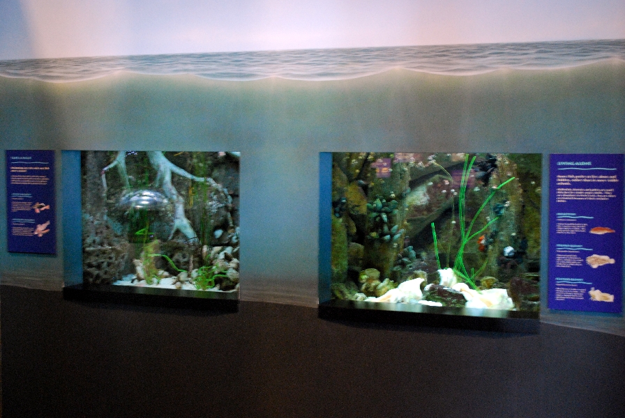 Varous pictures of VA