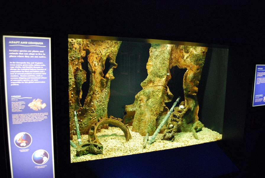 Varous pictures of VA