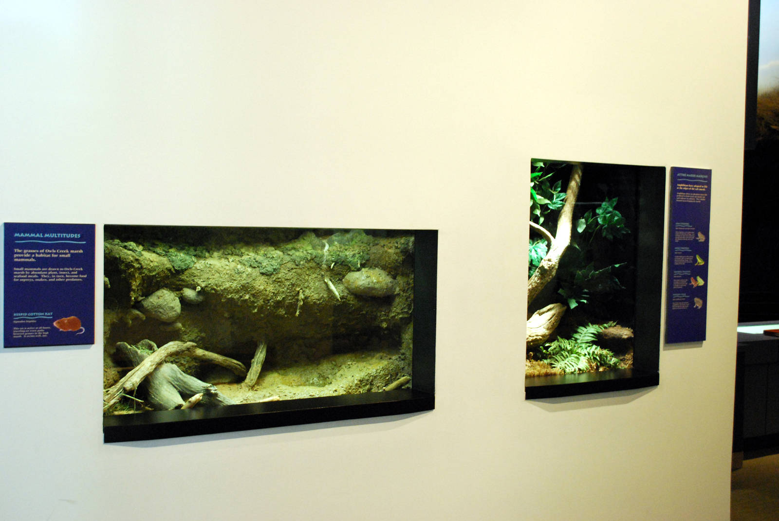 Varous pictures of VA