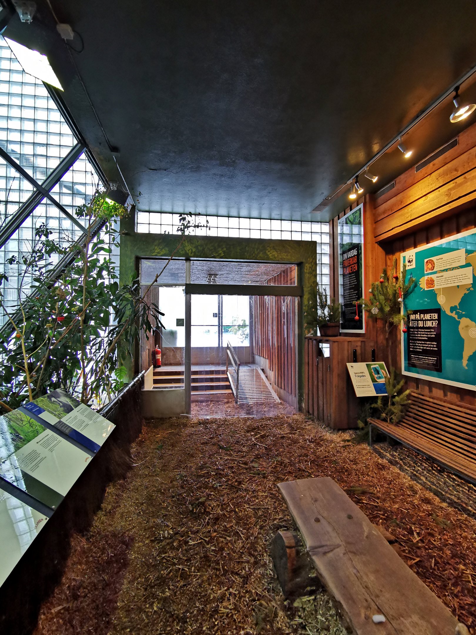 "Vårt afrika" - Guereza indoors