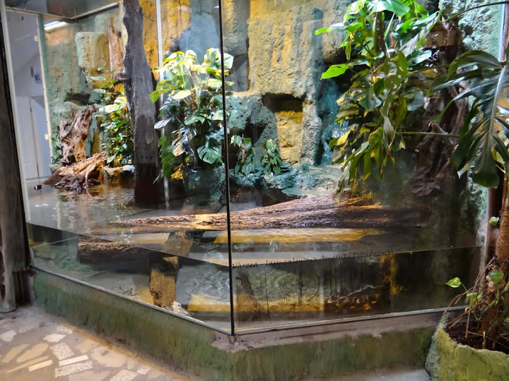 Varzea container after minor repairs