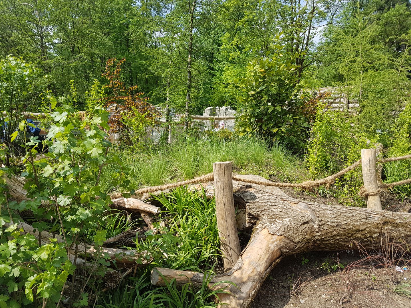 Vegetation and Barriers