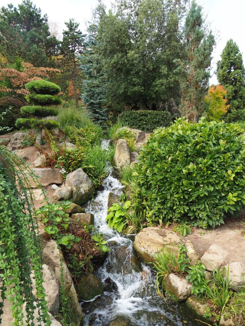 Vegetation and waterfalls in the Japanese area (Aug 28th, 2018)