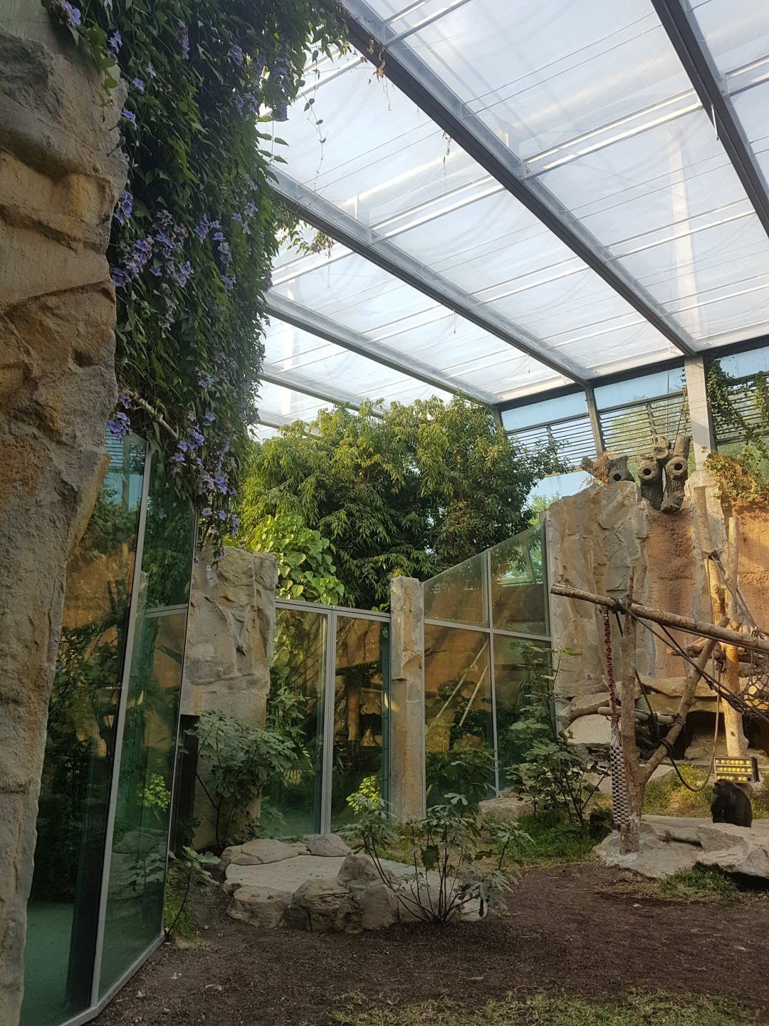 Vegetation, Chimpanzee Indoor Exhibit, Jungle Pavilion