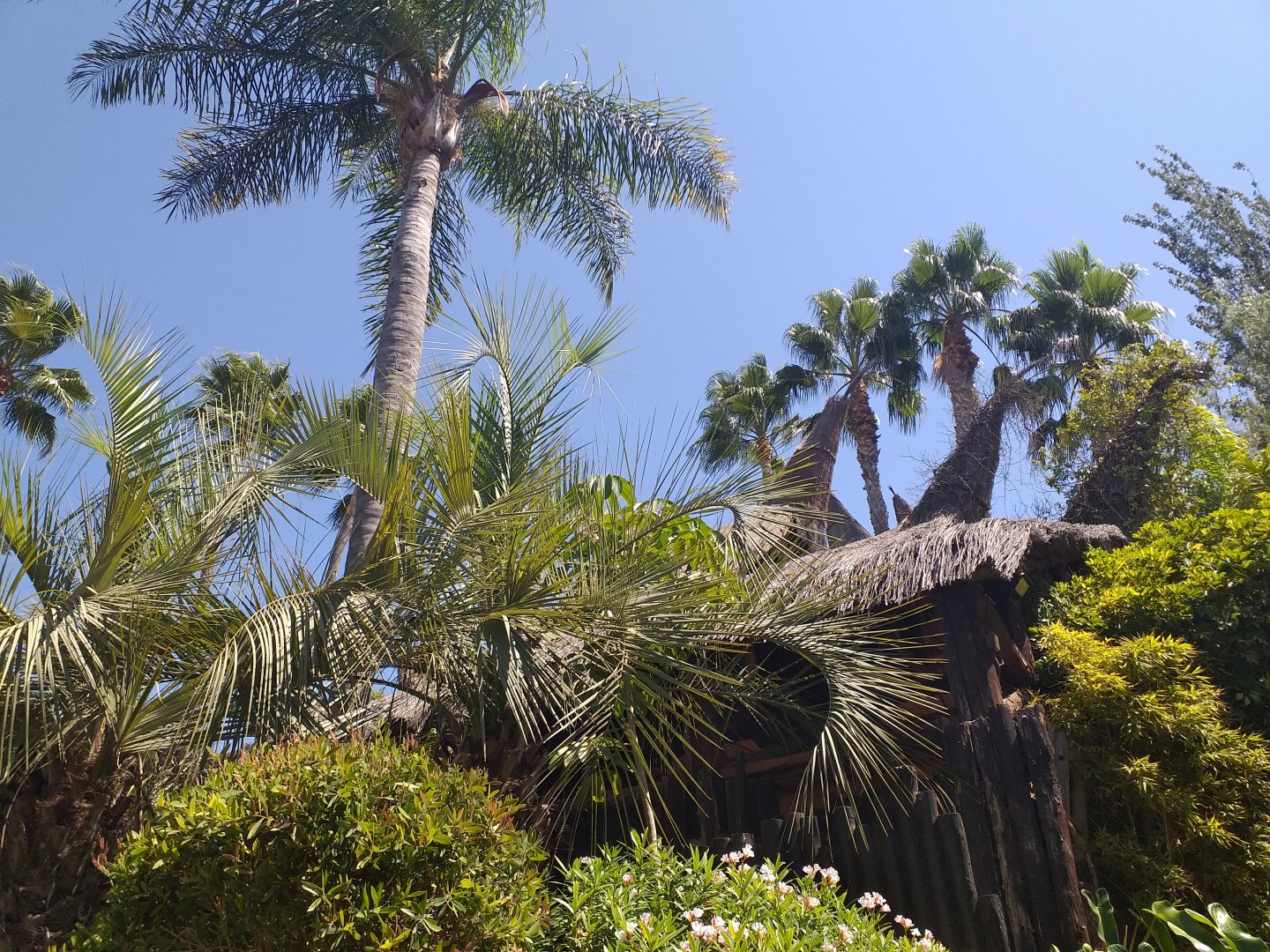 Vegetation -MundoMar Benidorm (2021)