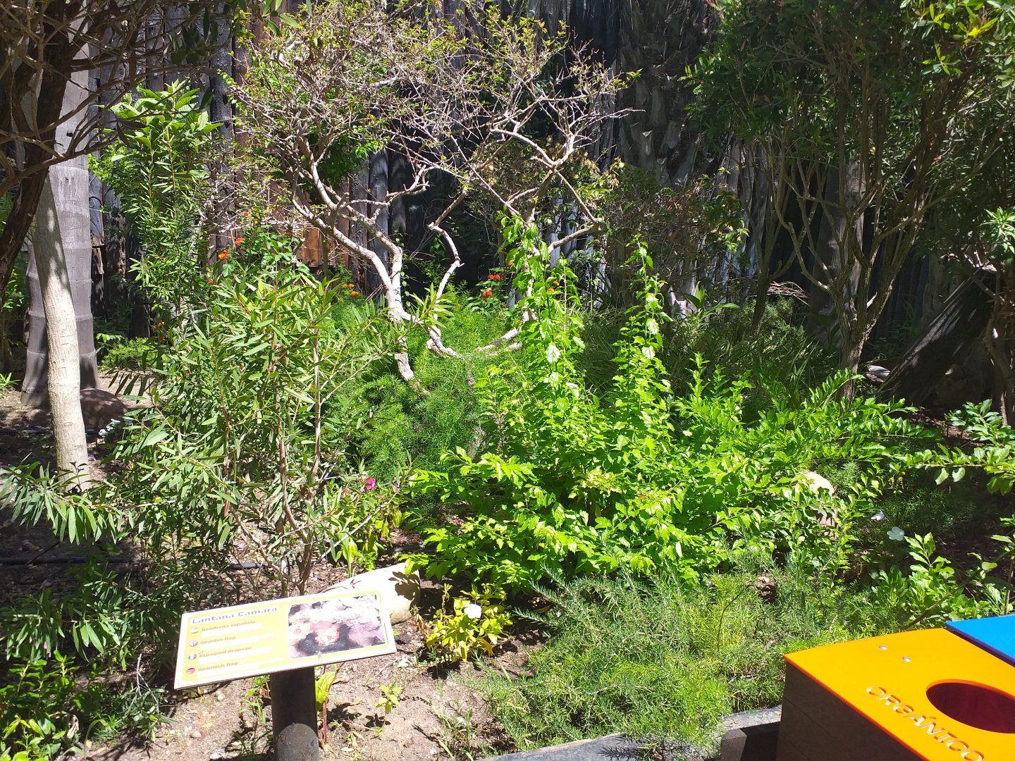 Vegetation -MundoMar Benidorm (2021)