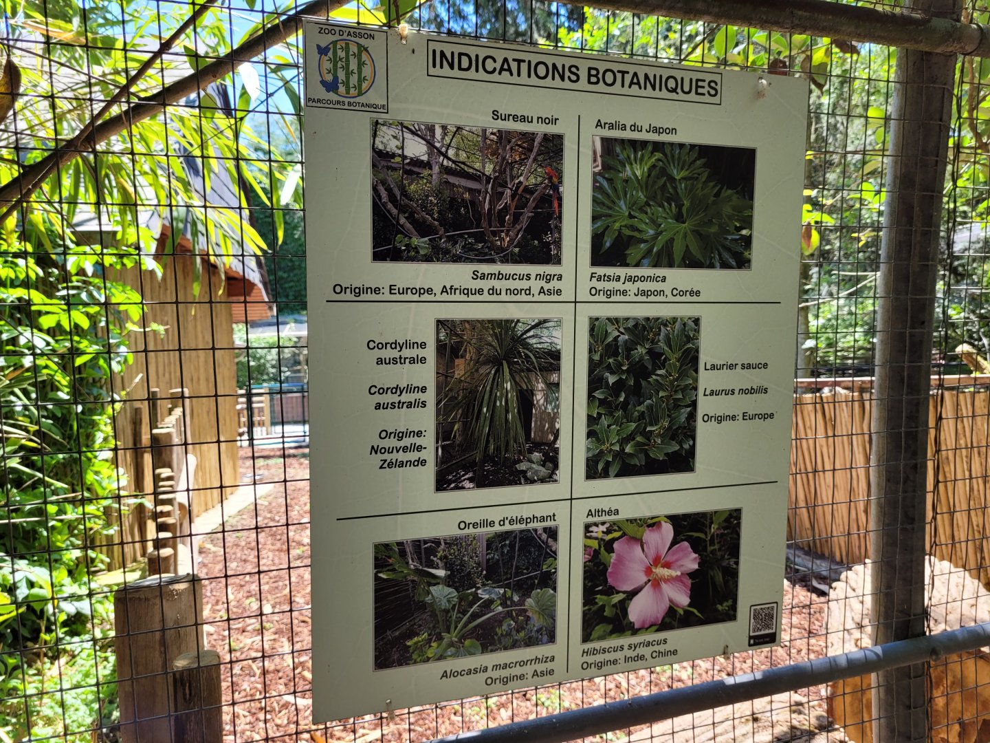 Vegetation sign -Zoo d'Asson (2022)