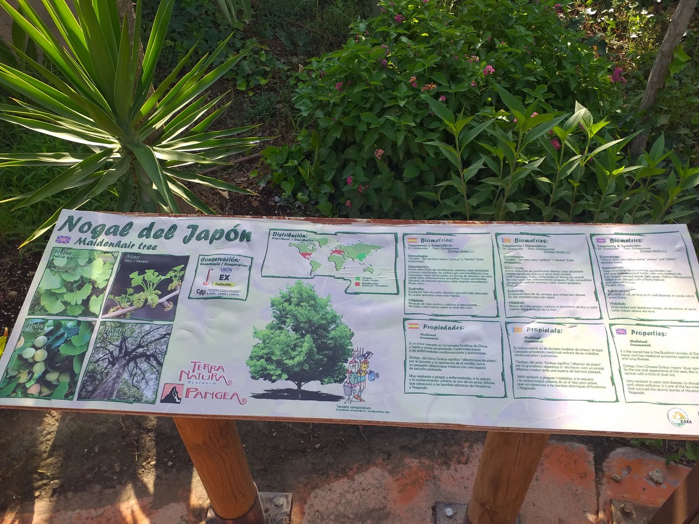 Vegetation signae -TerraNatura Benidorm (2021)