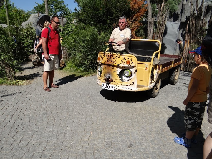 Vehicle in the zoo