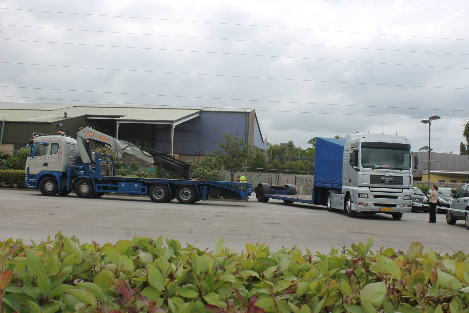 Vehicles involved in elephant move, Chester Zoo 24 June 2014