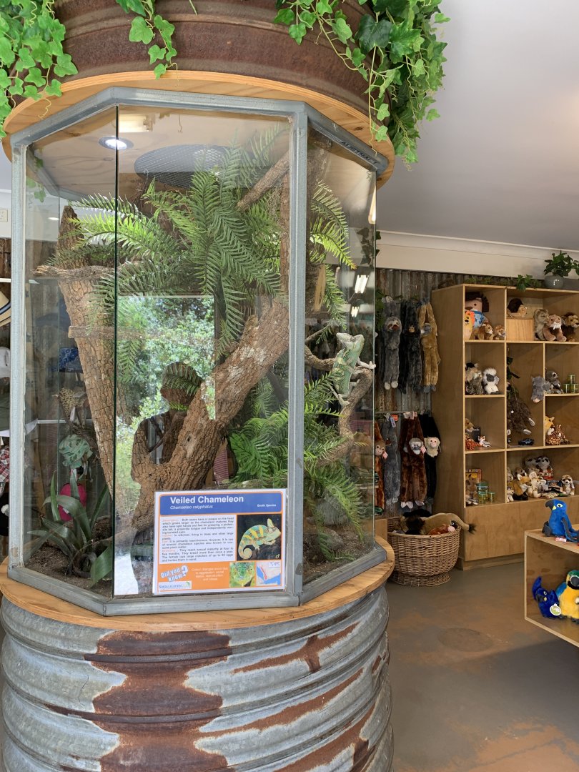 Veiled Chameleon Enclosure