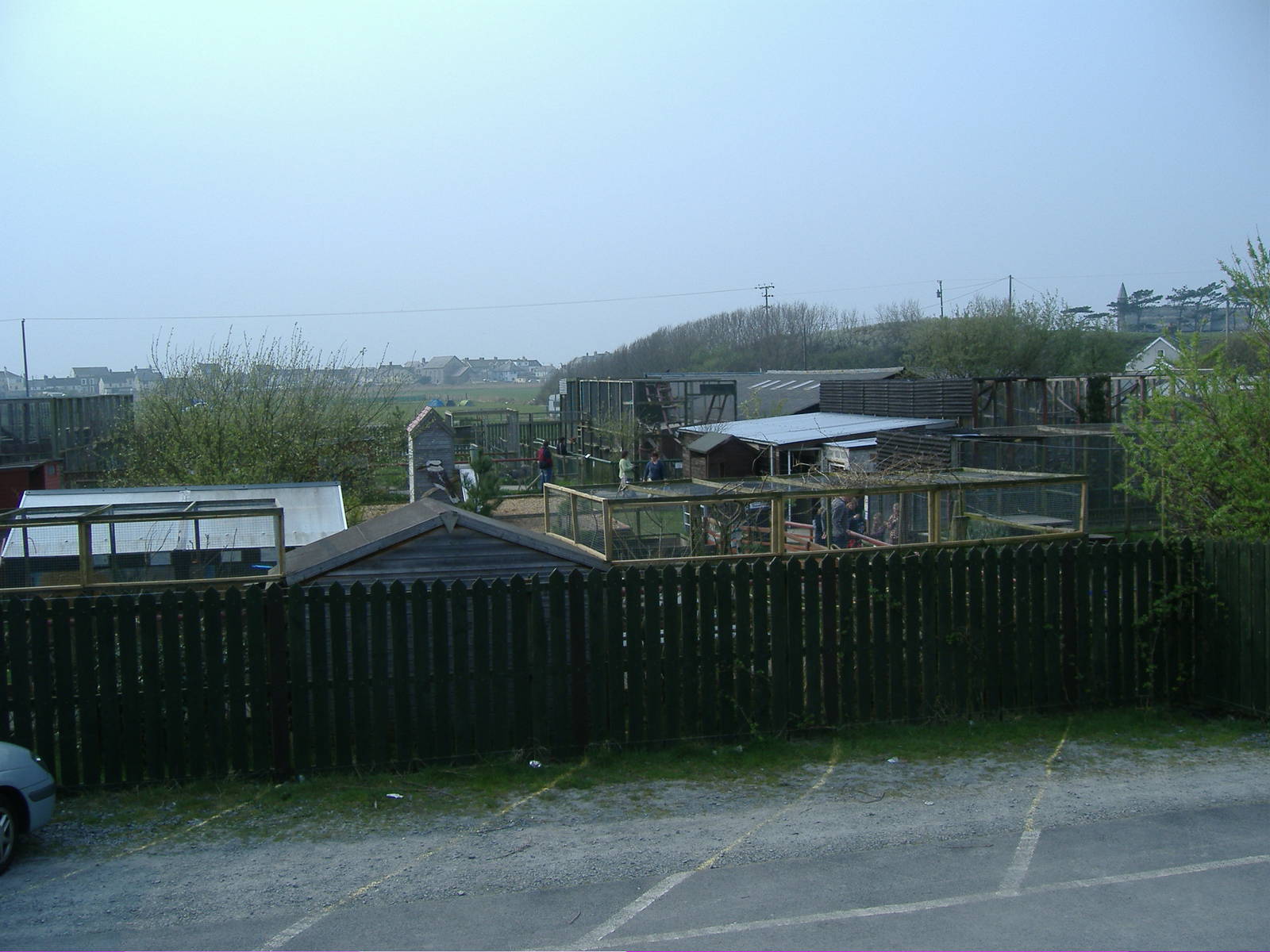 Veiw from Road Animalarium