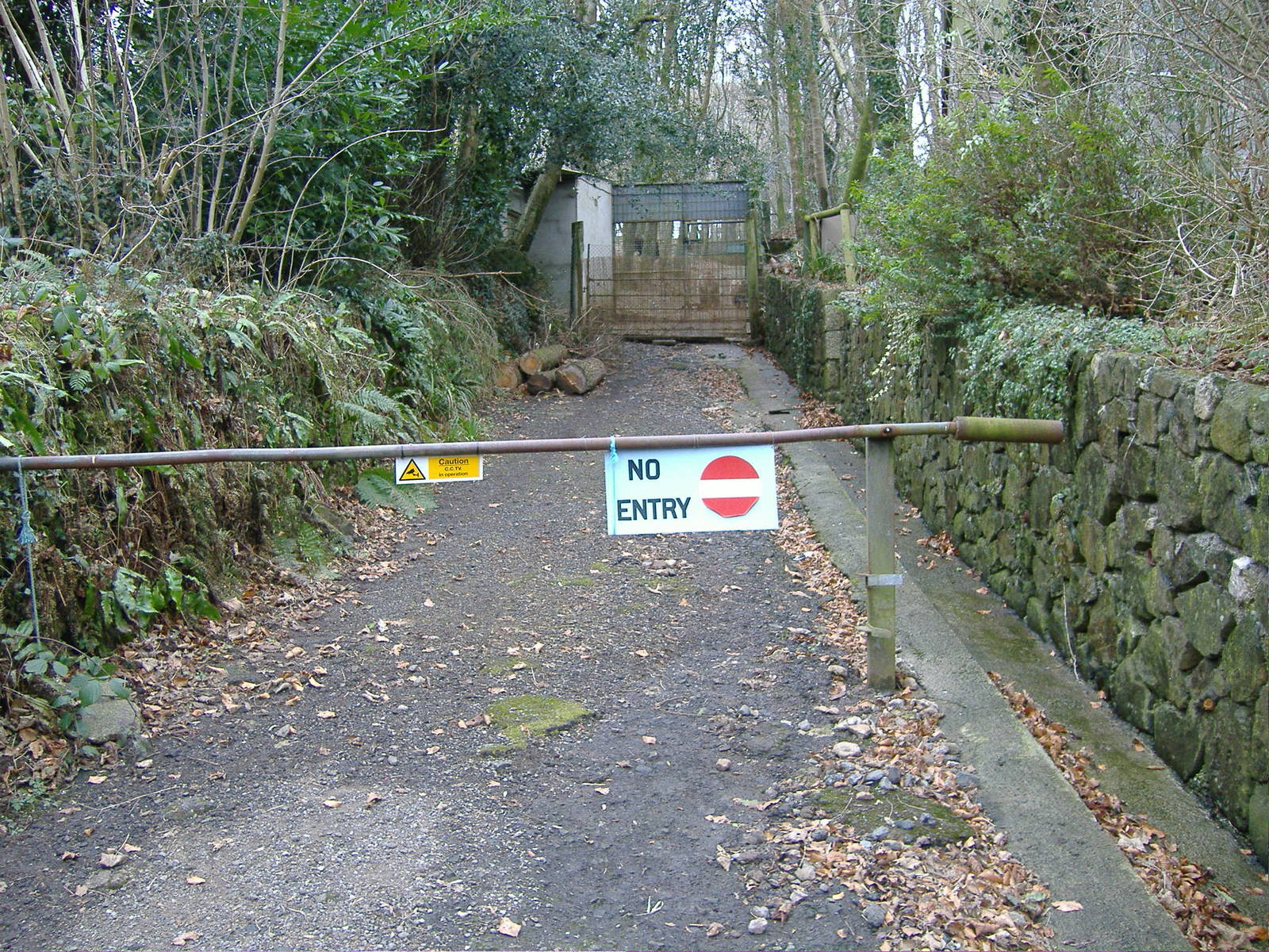 Veiw up to bears dartmoor