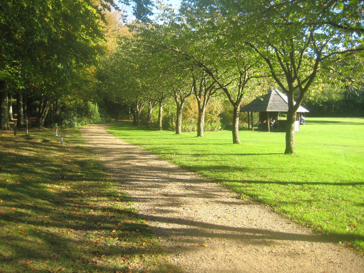Vejen Anlæg - General view