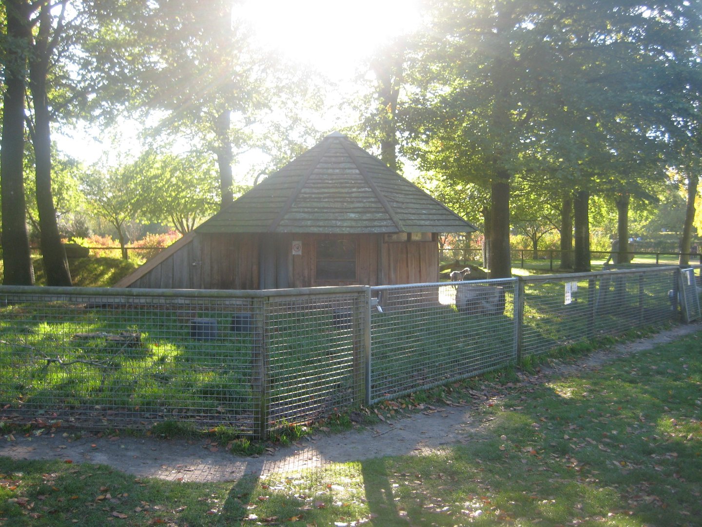Vejen Anlæg - Goat exhibit