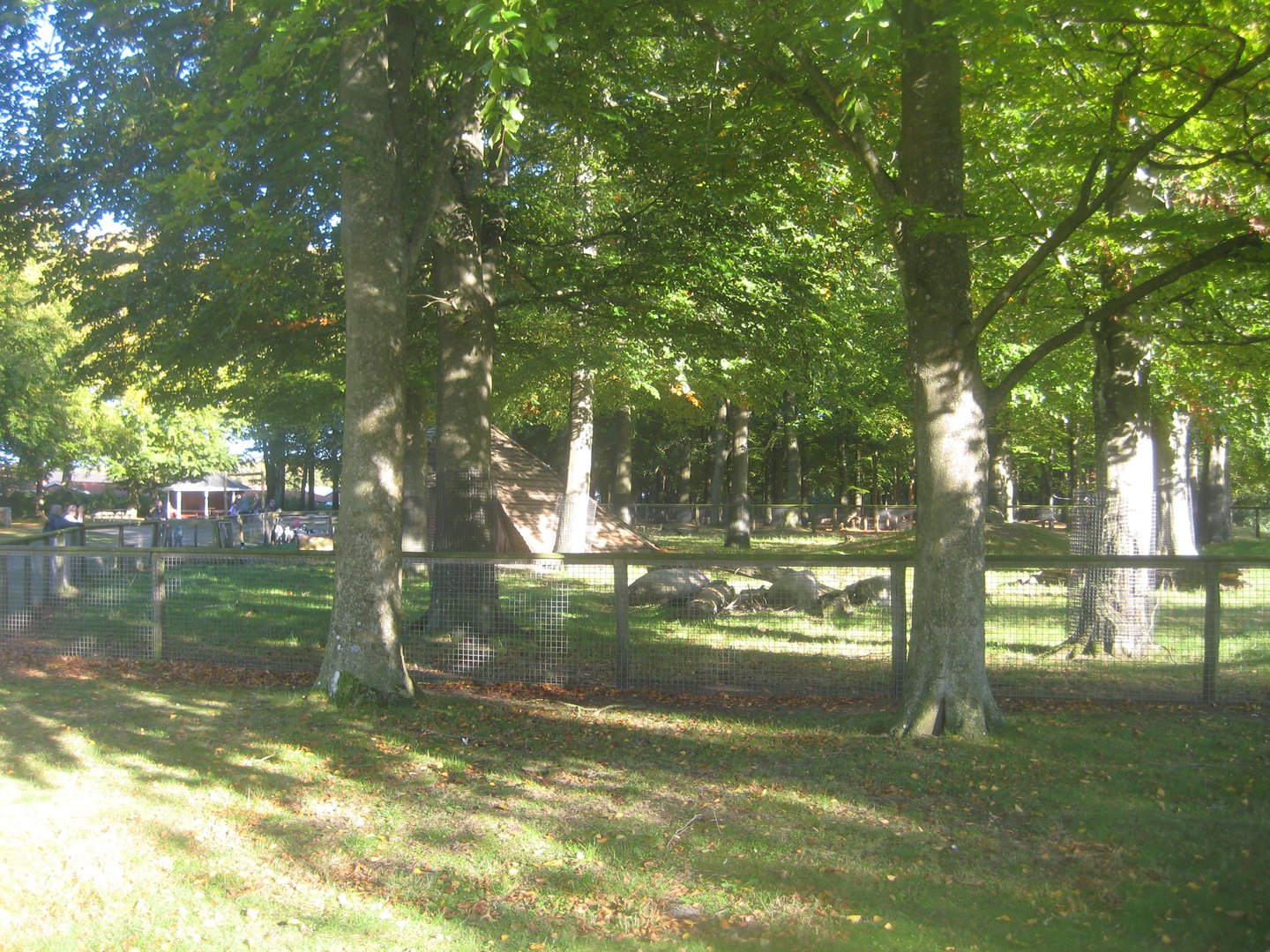 Vejen Anlæg - Goat exhibit