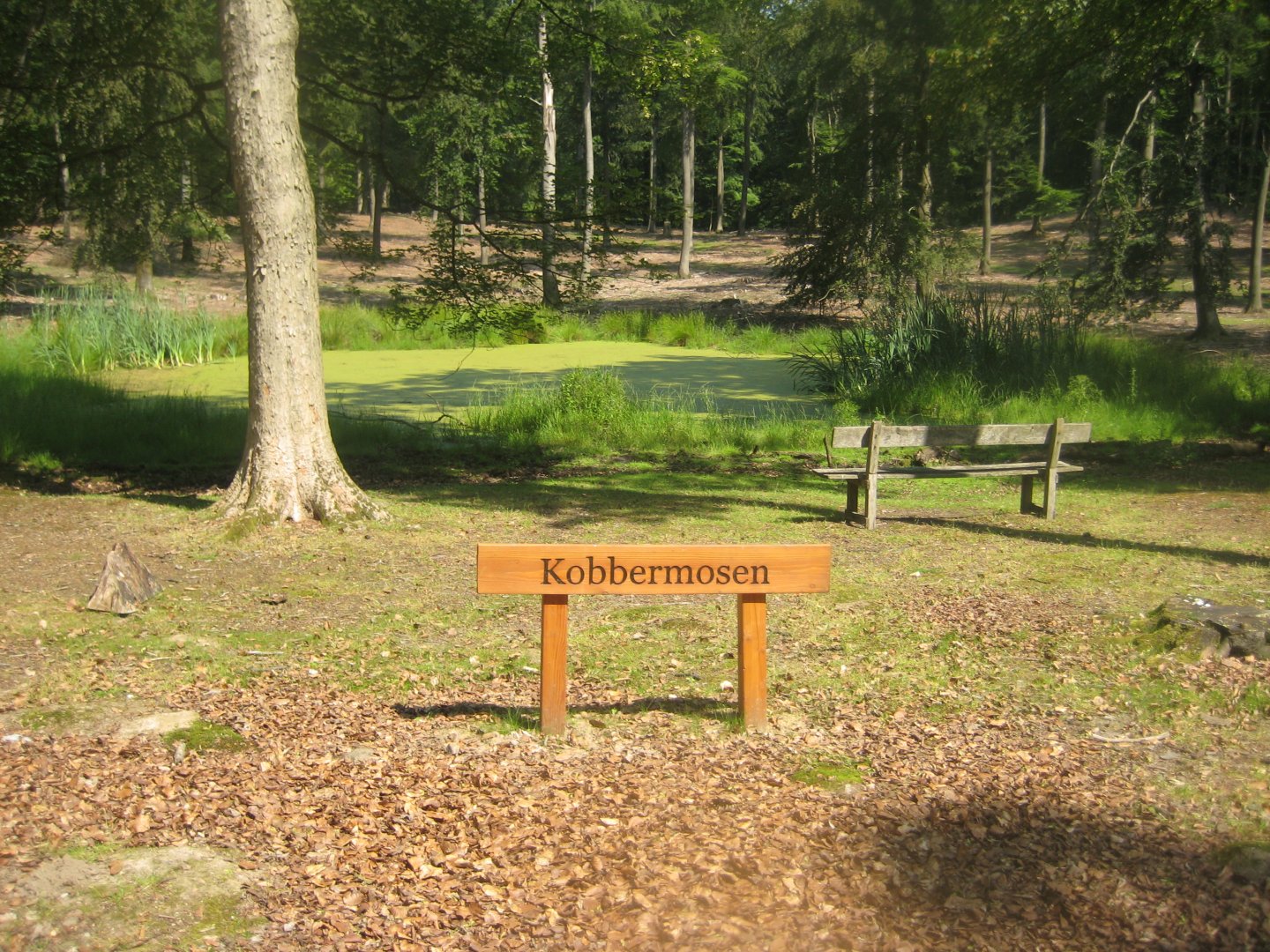 Vejle Dyrehave - General view