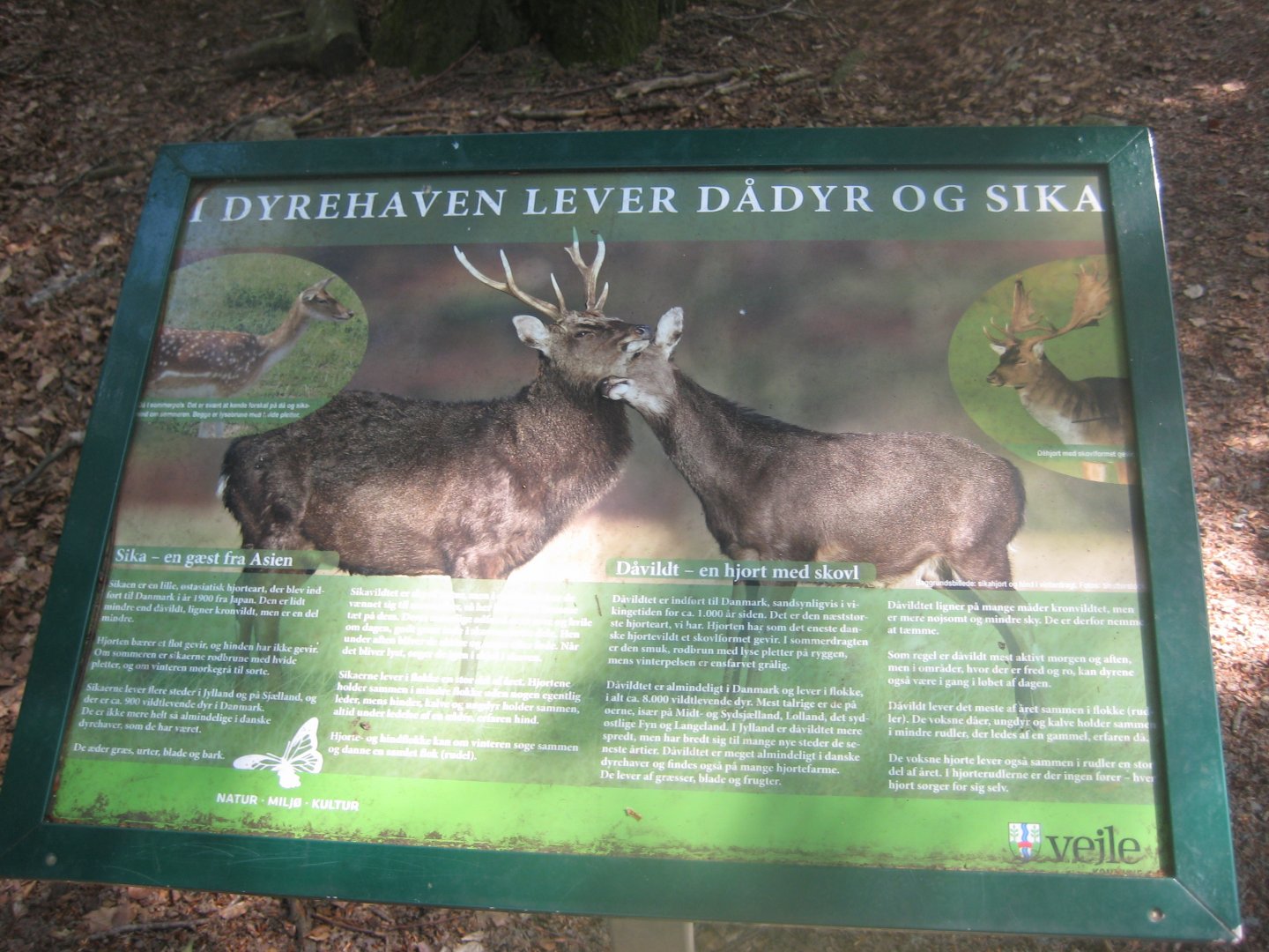 Vejle Dyrehave - Information sign