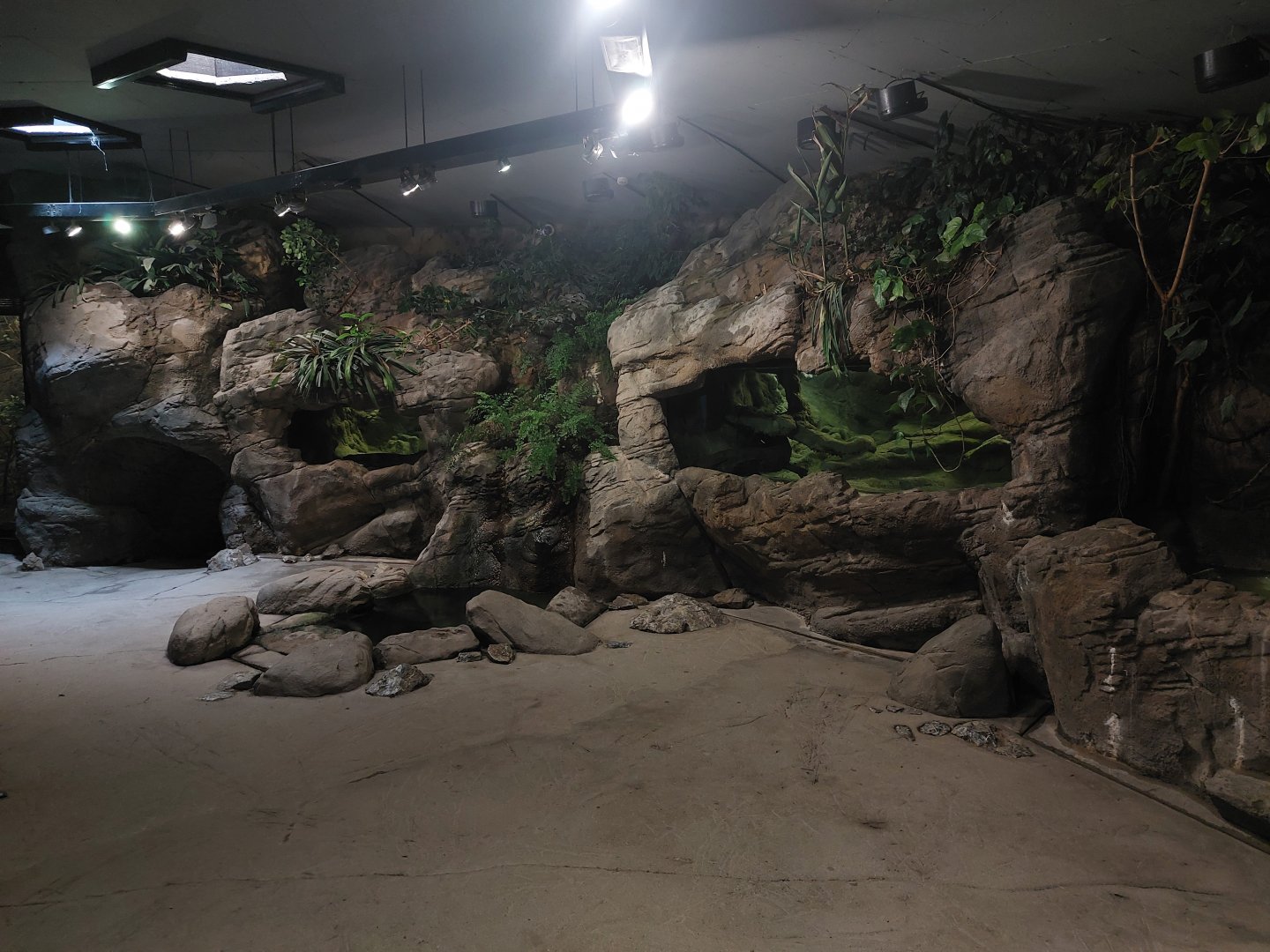 Velemlokarium / giant salamander house