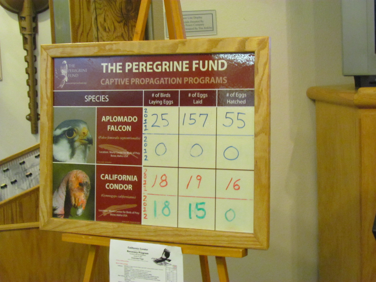 Velma Morrison Interpretive Area