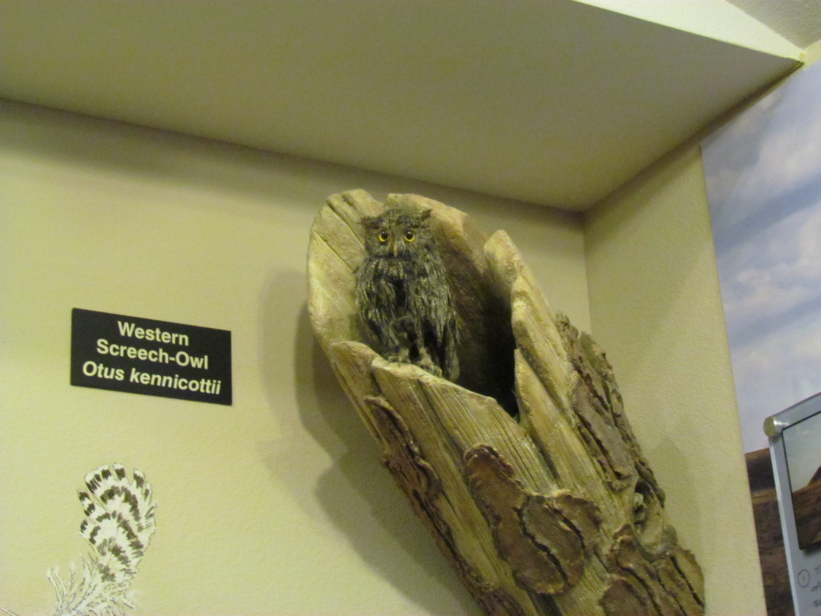 Velma Morrison Interpretive Center