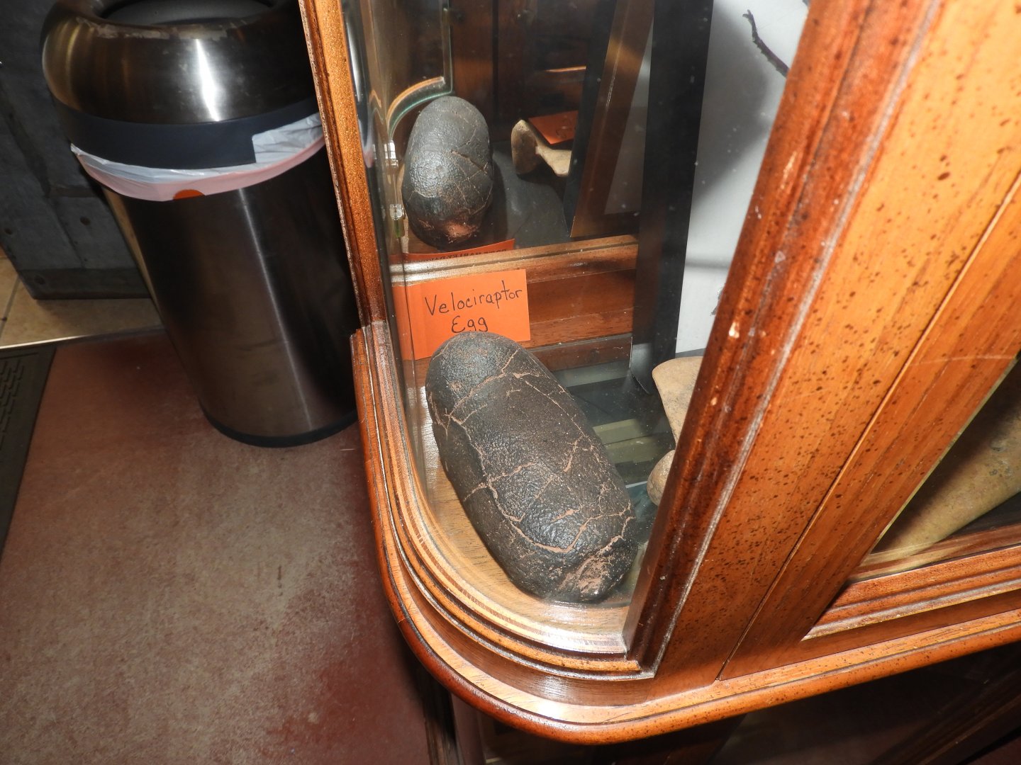Velociraptor Egg