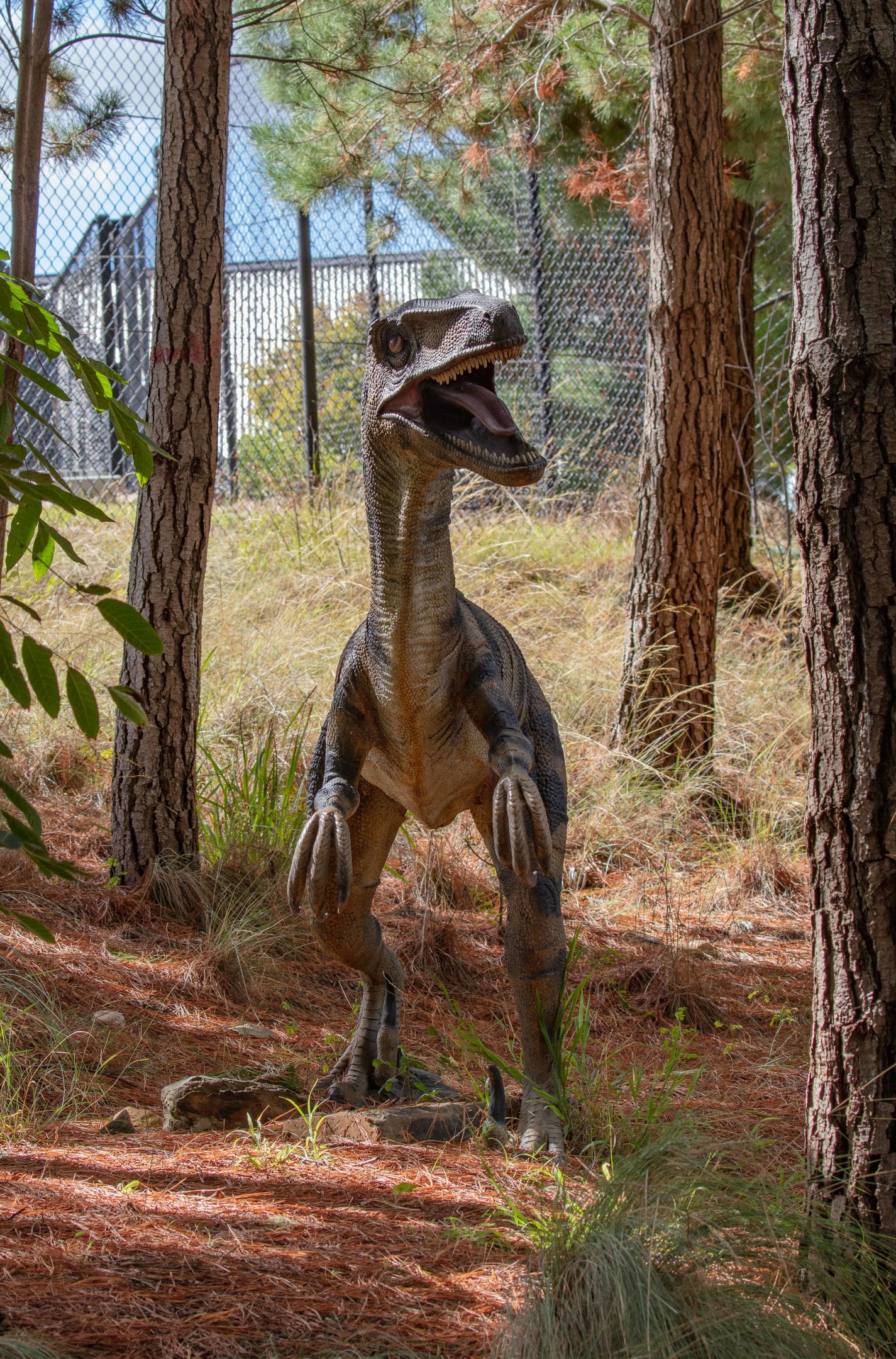 Velociraptor model