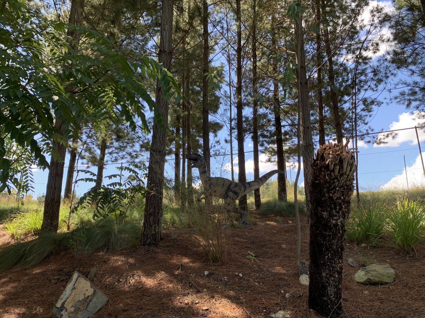 Velociraptor Sculpture