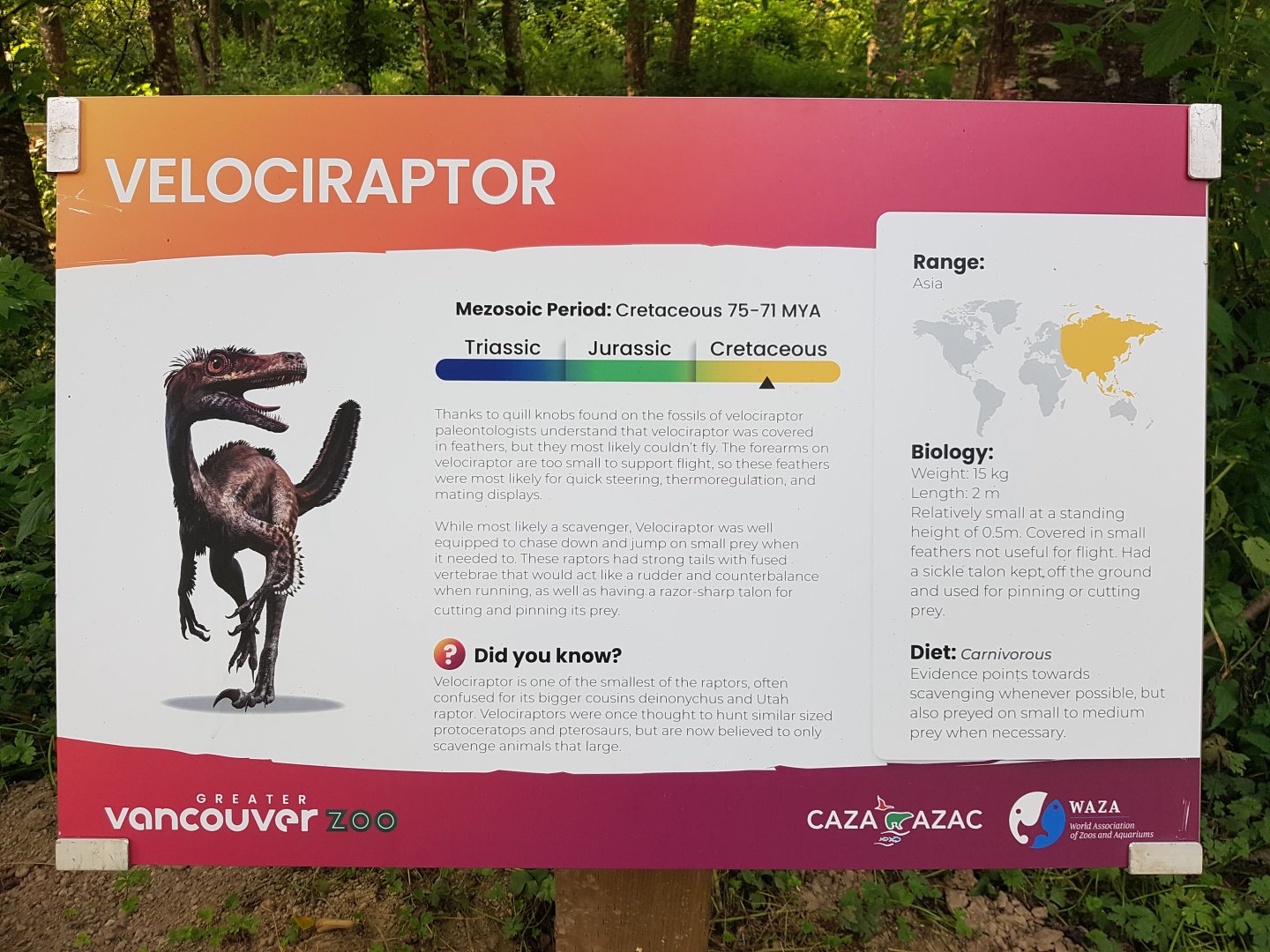Velociraptor Sign