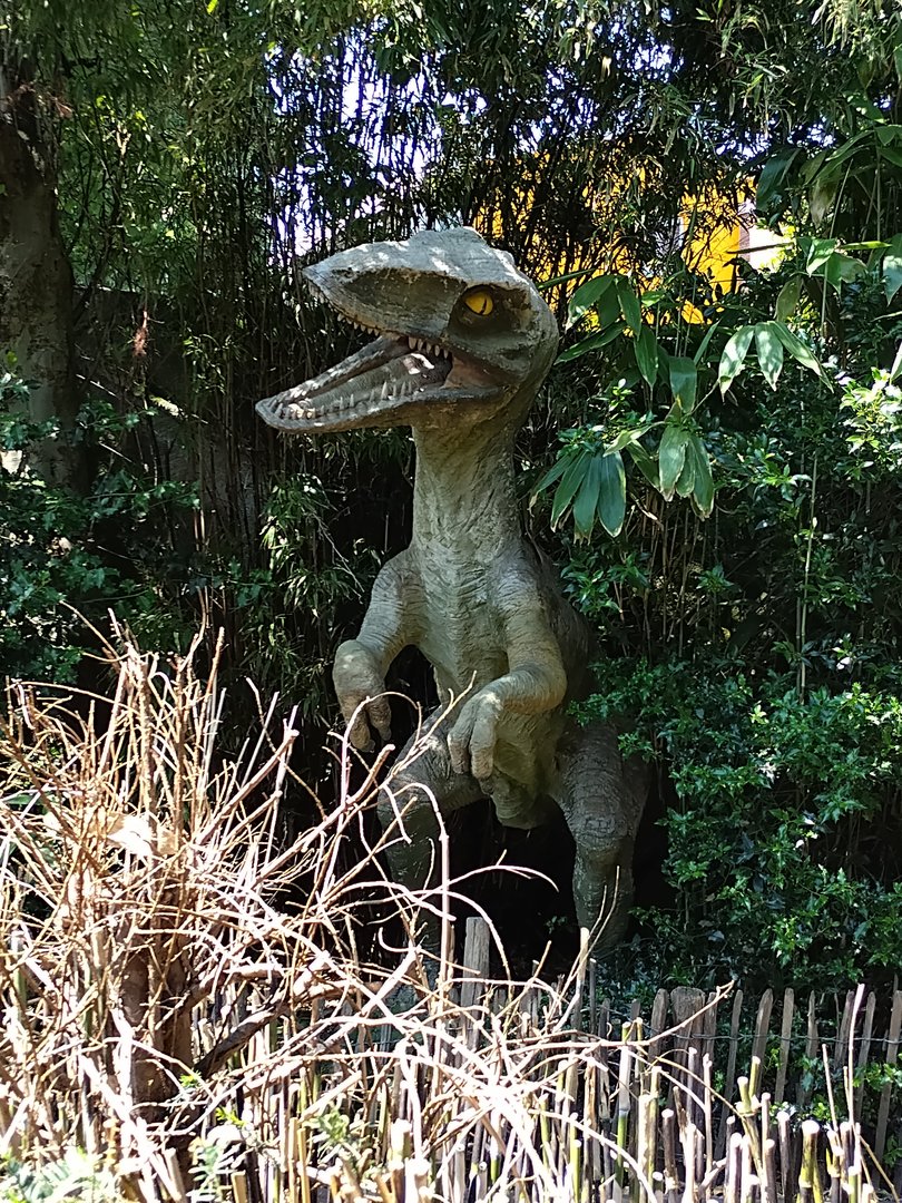 Velociraptor