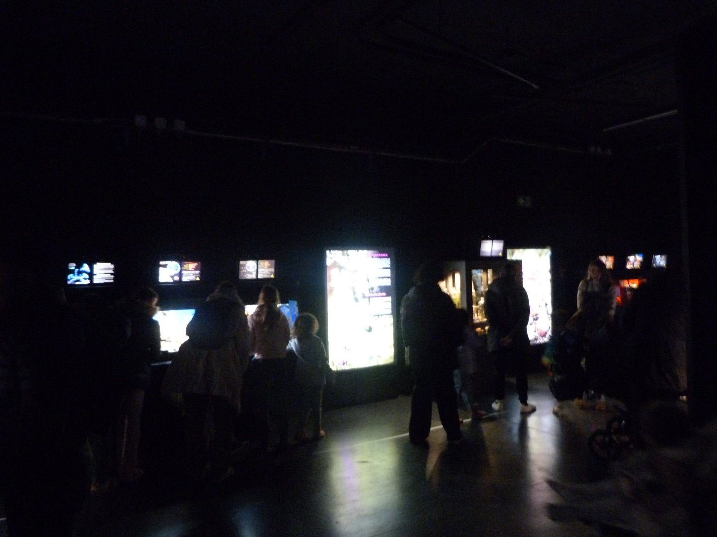 "Veneno" pavilion view -Faunia (2025)