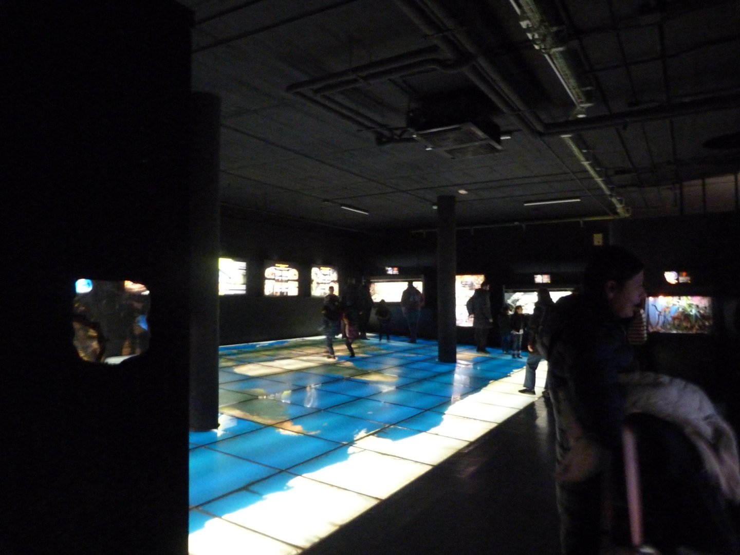 "Veneno" pavilion view -Faunia (2025)