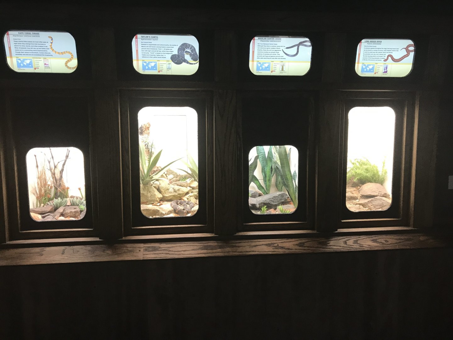 Venom Gallery Expansion