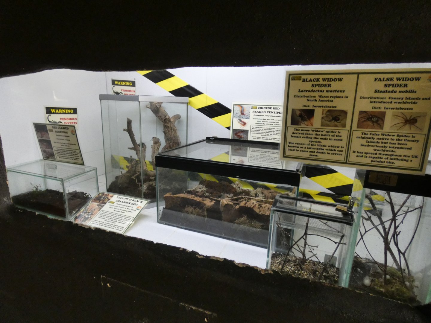 Venom section in invert house