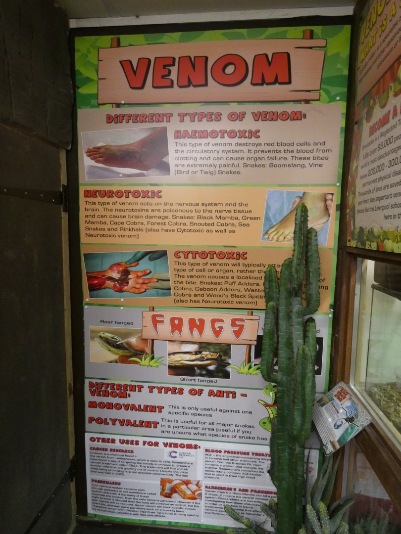 Venom signage