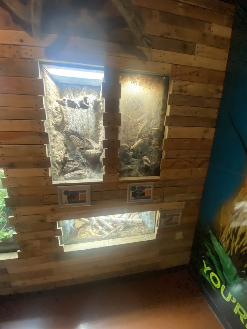 Venom - various invertebrate exhibits 251123