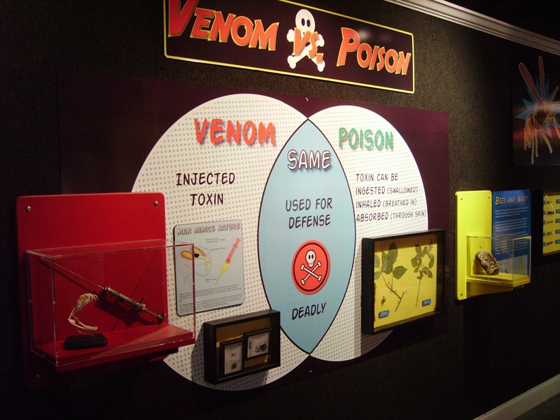 Venom vs. Posion - Venom Gallery