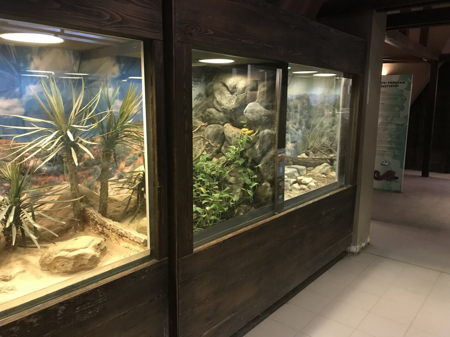 Venomous Creatures house exhibits 171018