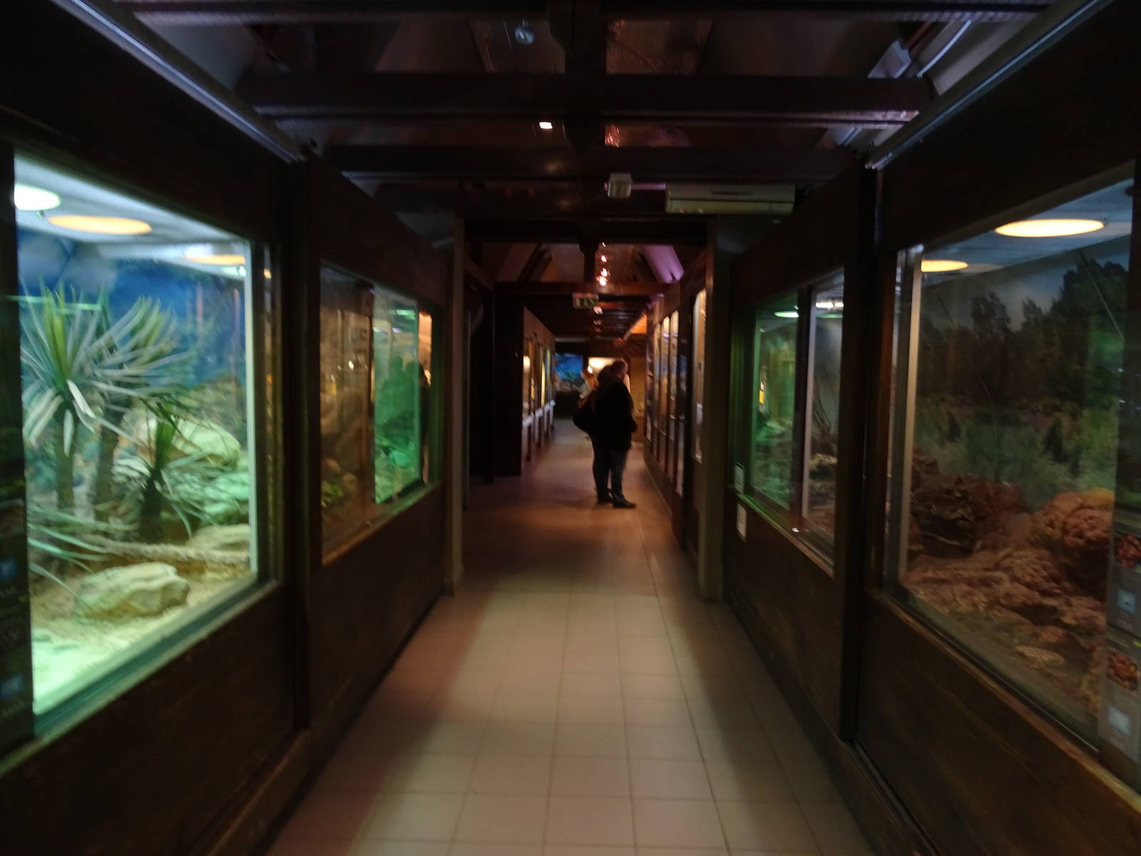 Venomous creatures house