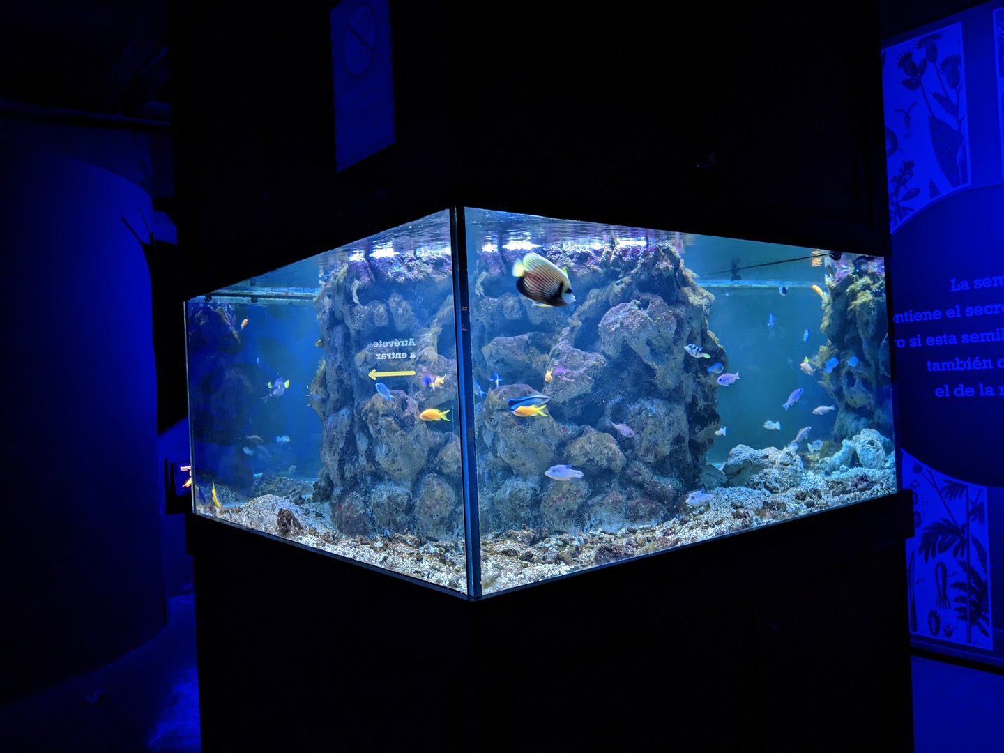 Venomous Exhibit - tank example