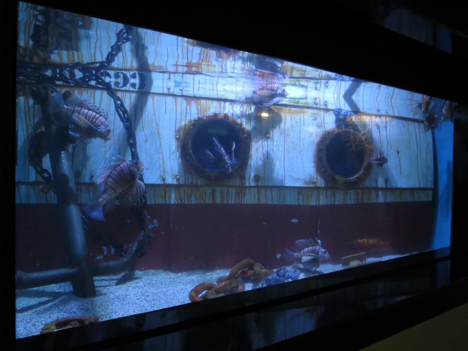 Venomous Fishes Exhibit